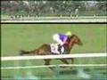新馬動画16