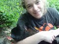 A Vlog about Mez, Rufus and a horrible pair of shoes.