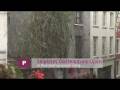videos de Eerste sneeuw (najaar 2008) in Patershol.