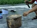 test katana 3