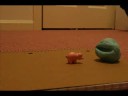 This Little Piggy...