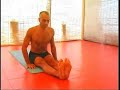 Lino Miele jump back vinyasa Lino Miele jump back vinyasa