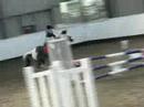 Snoopy British Novice Qualifier