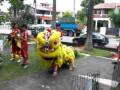 Bark Angel Opening (2)