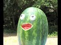 Watermelon Nights- The Meth Minute 39