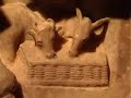 Anno Paolino - Visita al Museo Civico Medioevale di Bologna
