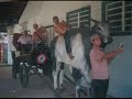Coragem pra vencer - Villas Boas APS Coragem pra vencer - Villas Boas APS