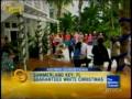 White Christmas Summerland Key.wmv