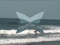 bali 2007