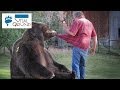 Doug Seus and Bart the Bear