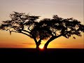 Peru - Africa