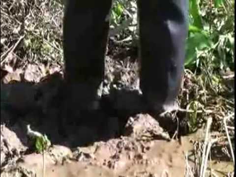 boots in mud