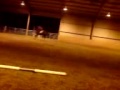 Beau jumping at denburn