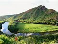 Destruction of the Rainforests