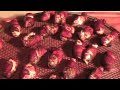 ABT Atomic Buffalo Turds Jalapeno Poppers