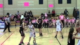 Girls Basketball Falls to Wellesley 38-29