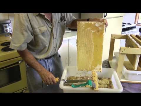 how to harvest honey without a extractor