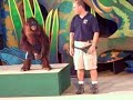Universal Studios - Monkey
