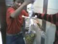 videos de maac kamla nagar skeleton dance