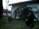 Watch this and you\
