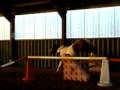 videos de Cleio Loose Jumping