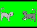 Cat Fight Animation (Continued Fight)