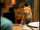 Meow Mix Commercial