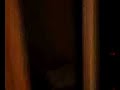 dans la chambre a juju dans la chambre a juju