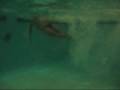 In The Pool