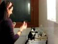 videos de Gatita del maquillaje