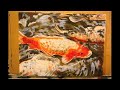 Koi