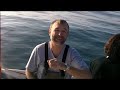 Touche en direct jigging sériole pêche méditerranée