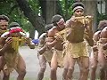 Honiara Solomon Islands Dancers