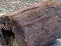 Petrified Forest National Park, Arizona