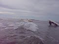 videos Surf