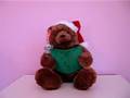 Gund Storytime Bear reading Twas the Night Before Christmas