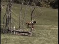 Eventing - Legacy 2007 Preliminary Level