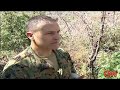Mexican cartels running pot farms in U.S. national forest 1