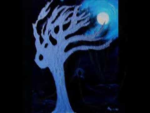 The Lonely Tree
