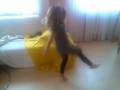 Meine sis beim Jumpstylen *gg*