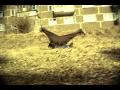 gisych, patrakov. one day (part 1).avi