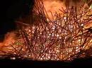 Uchronia (Belgian Waffle) 2006 Burn
