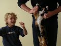 Petit Loup danse le Grand Cerf avec Louis