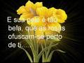 ANJO LINDO.