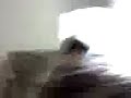 Asian Kid Cracking Tailbone at Quiz Bowl Camp