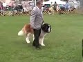 Woofer Takes The Group !