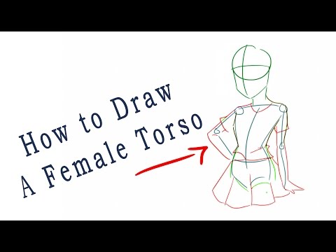 video-linktoworks-How to Draw a female Torso - YouTube