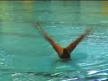 Solo France coupe comen natation synchronis�e gen�ve 2007