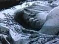  - MovieZen Video