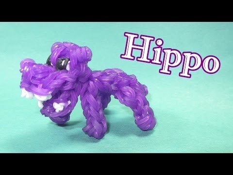 hippo